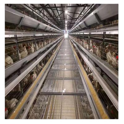 China Full Automatic Hot Galvanized Chicken Cage Hot Galvanized Layer 4 Layer 4 Layer Cage Equipment for sale