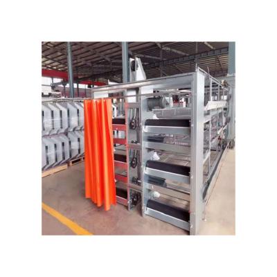 China Favorable Farms Price One Year Warranty Zinc-Aluminum Alloy Material Chicken Broiler Cage for sale