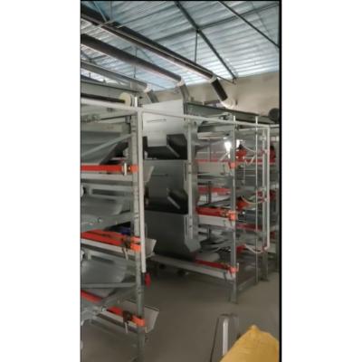 China Fully Automatic Farms Hot Dip Galvanized Broiler Cage System Broiler Hardware Farm Equipment for sale