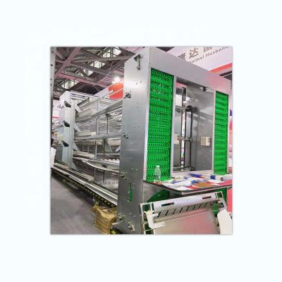 China Chicken farming and harvesting can work at the same time best price H type battery broiler cage with automatic broiler cage system for sale