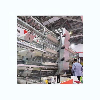 China Automatic Best Price H Type Two Line Battery Broiler Cage With Automatic Broiler Cage System for sale