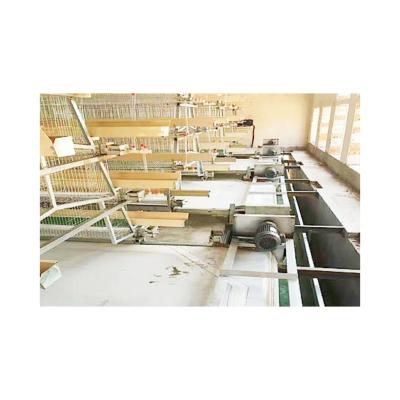 China Farms Chicken Farm 3-4 Rows A Type Automatic Baby Chick Rearing Pullet Cage System for sale