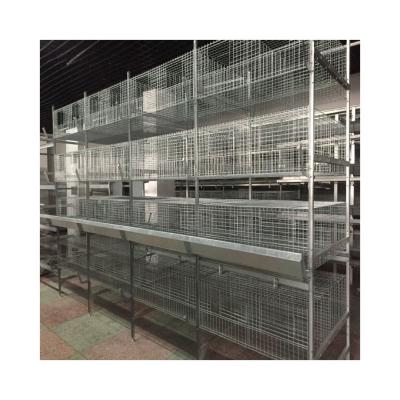 China Automatic Animal Farms Poultry Farm Broiler Compiete Cage Pullet Raising Cage System for sale