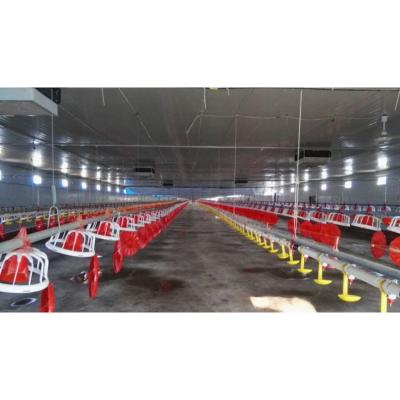 China Cultivate Automatic Feeder For Chicken Poultry Farm Equipment Floor Broiler Pan Feeding System For Broiler Feeder for sale