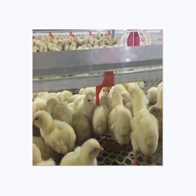 China Automatic Farms Stainless Steel 360 Degree Layer Broiler Breeder Chicken Poultry Nipple Drinker For Nipple Drinking System for sale