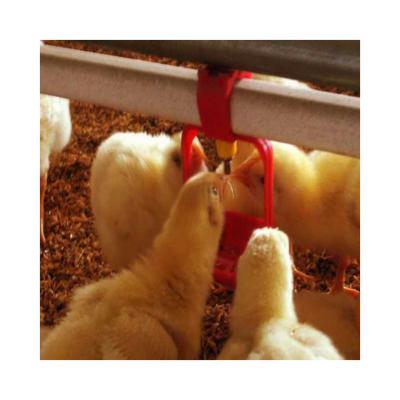 China Farms Chicken Nipple Drinking System 360 Degree Automatic Nipple Drinking For Broiler Layer Breeder Farm for sale