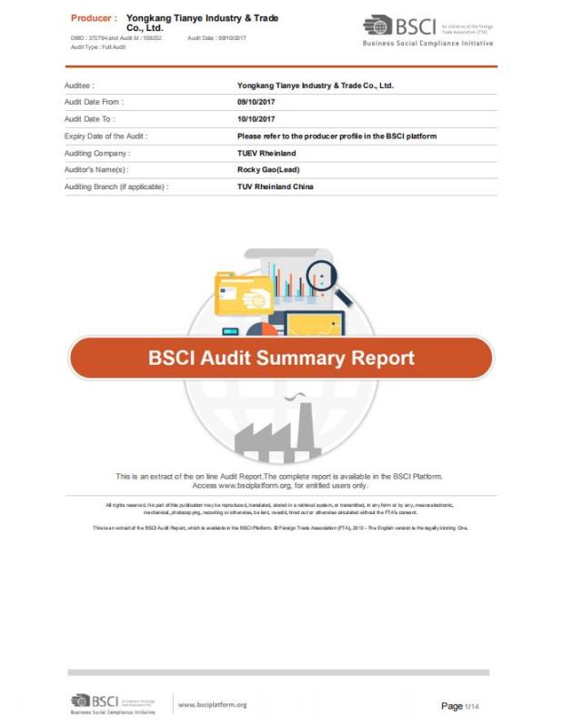 BSCI - Yongkang Tianye Industry & Trade Co., Ltd.