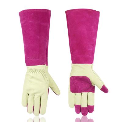 China Good Quality Pigskin Work Safety Anti Long Cut Comfortable Cuff Household Garden Leather Gloves for sale