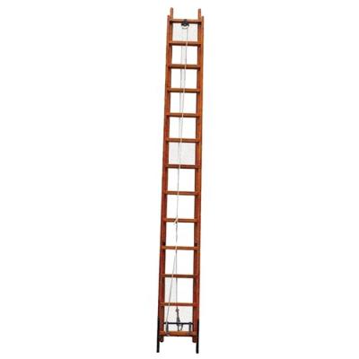 China 9m bamboo ladder, retractable ladder TEZ9 for sale