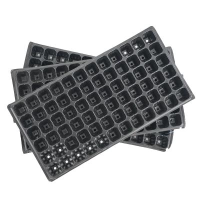 China Eco-friendly Seed Planting Plastic Seedling Tray 72 Hole Nursery Tray Germination Tray for sale