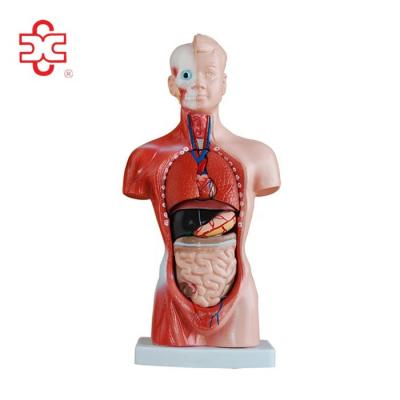 China PVC New Mini Desktop Full Body Human Medical for sale