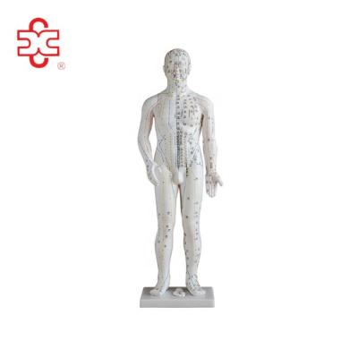 China Medical Human Acupuncture Needle Point Model 70CM for sale