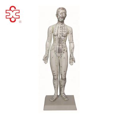 China PVC 48cm Female Acupuncture Human Body Model for sale