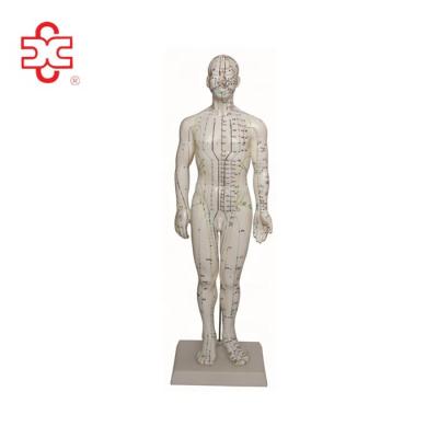 China 50cm PVC Human Acupuncture Model for sale