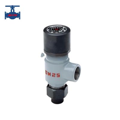 China Spring Loaded Low Lift Male Threaded Safety Valve Carbon Steel Stainless Steel for sale