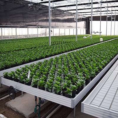 China Yes Moving Greenhouse Rolling Ebb And Flow Growing Grow Work Bench Rolling for sale