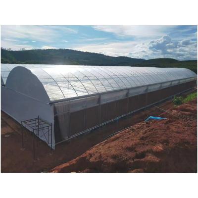 China Sent with greenhouse accessories low cost single span plastic sheet blackout greenhouse/hemp greenhouse/lightweight deprivation greenhouse for sale