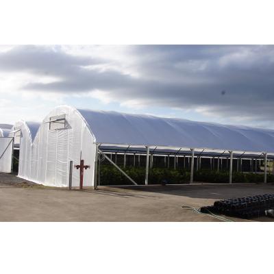 China Sent with greenhouse accessories wrap winter multi-span plastic film deprivation blackout system blackout resistant greenhouse for herbs for sale