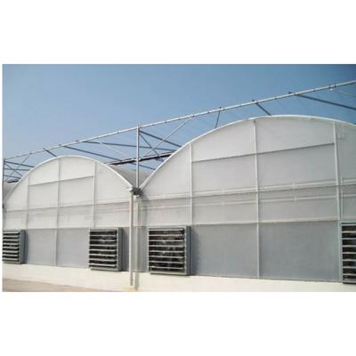 China Plastic Film Greenhouse Sheet Tomato Multi-span Greenhouse Turkey For Sale for sale