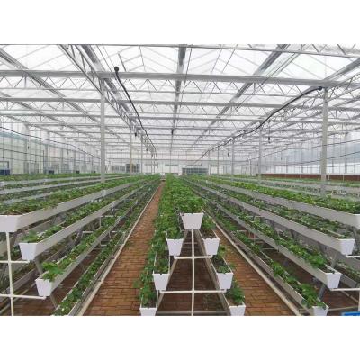 China Hot Selling Intelligent Climate Control System Film Greenhouse for sale