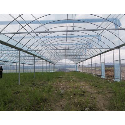 China Steel Aluminum Film Frame Multispan Greenhouse for sale