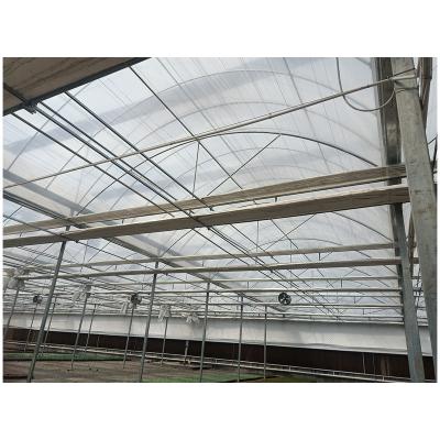 China Hot Selling Lean Film To Layers Chassis Greenhouse For Sale for sale