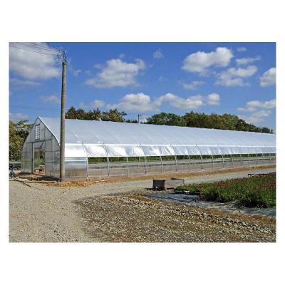 China Film Agriculture Plastic Sheet Farm Greenhouse For Agriculture for sale