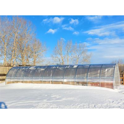 China Will Sent With Cheap Greenhouse WILL 8x50m Plastic Film Tunnel Greenhouse Galvanized Steel Frame Green Houses for sale