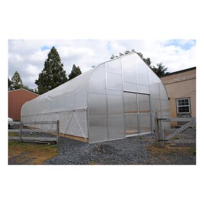 China Will Sent With Greenhouse Will Tunnel Cheap Agricultural Greenhouse Low Cost Single-span Greenhouses for sale