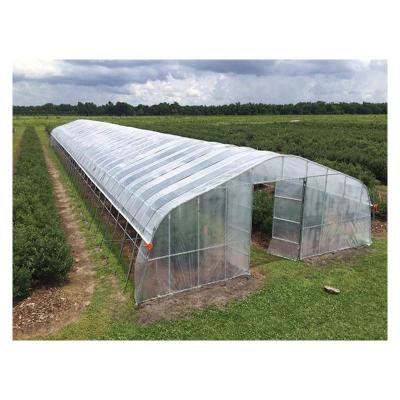 China Will Sent With Cooling Greenhouse Greenhouse Protection Mini Tunnel Green House For Sale for sale