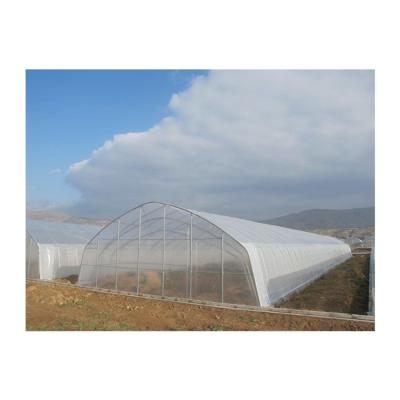 China Large Size Frames Film Greenhouses China High Tunnel Agricultural Greenhouse for sale