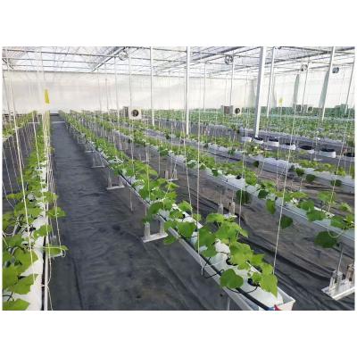 China Will Sent With Hydroponic Greenhouse Greenhouses Irrigation System Hydroponic Tower Greenhouse for sale