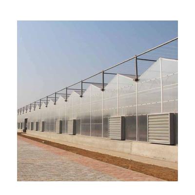 China Film Tomato Greenhouse Hydroponic Systems For Agricultural Planting for sale