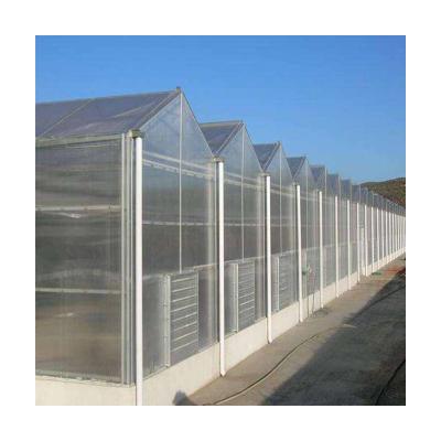 China Film Solar Panel Agricultural Greenhouse for sale