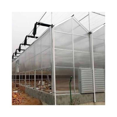 China Film Single-Span In-Solar Tunnel Greenhouses Factory for sale