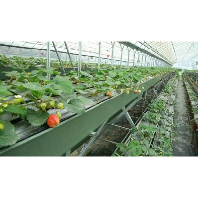 China Film Polycarbonate Greenhouse Cooling Shading Electric Heating System for sale