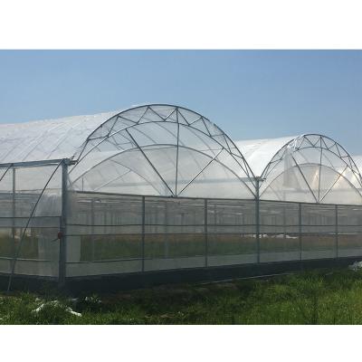 China Agricultural Film Greenhouse Protect Insect Proof Mesh Light Polycarbonate Greenhouse for sale