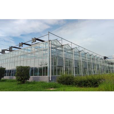 China Galvanized Steel Film Frame Large Glass Truss Agricultural Greenhouse for sale