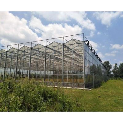 China Smart Victorian Low Film Tunnel Greenhouse for sale