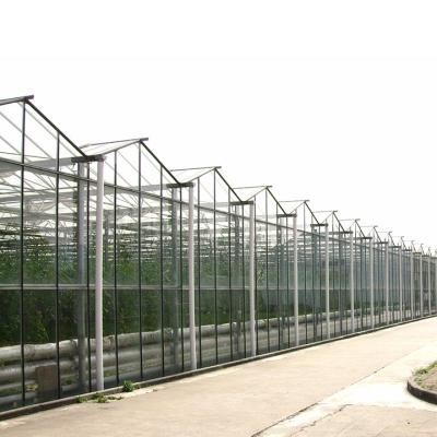 China Film Plant Grow Lamp Glass Indoor Greenhouse for sale