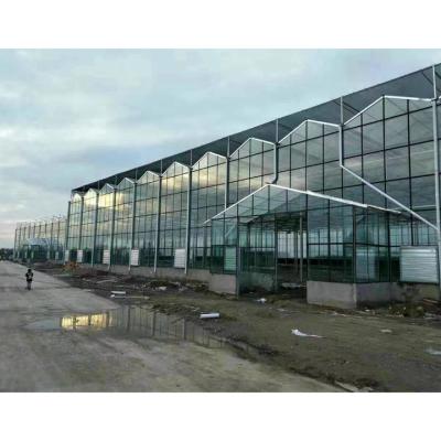 China Film Greenhouse Glass Panels Garden Glass House for sale