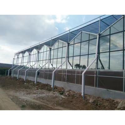 China Film Float Glass Greenhouse Solar Garden for sale