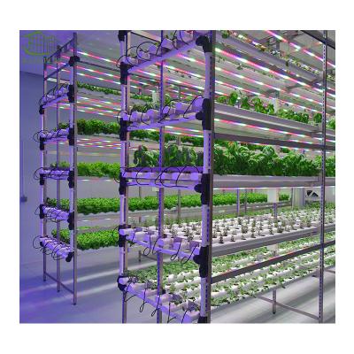 China Vertical Film Container Farm Plant Agricultural Plant For Sale for sale