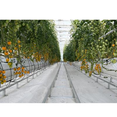 China Film Mulch Film Weed Control Cloth For Vegetable Greenhouses For Sale for sale