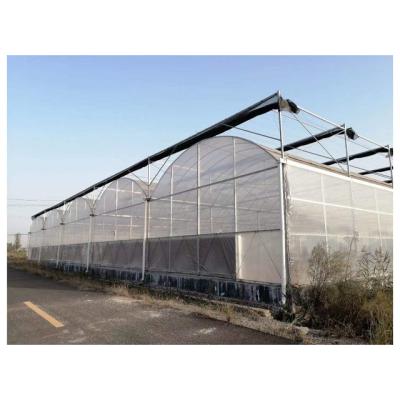 China UV Film Greenhouses Agricultural Tent Film For Greenhouse for sale