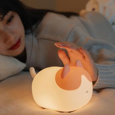 China Christmast Ornament Touch Style Home Decoration Mini Night Light With USB Remote Light Luxury Filling for sale