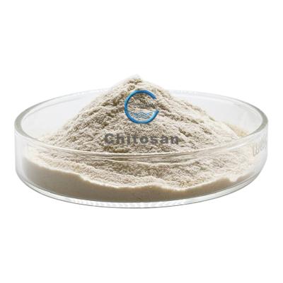 China High Molecular Weight Chitosan Powder Oligosaccharide Water Soluble for sale