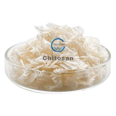 China Industrial Agricultural Grade Chitosan Powder Carboxymethyl Chitin Natural Nano Solution for sale