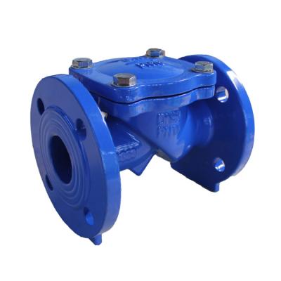 China General High Quality DIN Type Non Return Swing Check Valve One Way Swing Check Valve for sale