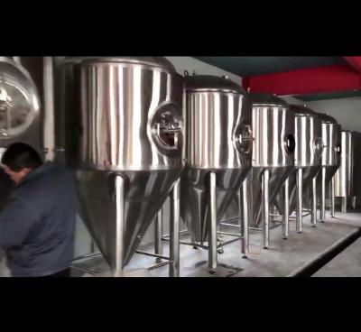 China Brewpub 100L-500L fermentation tank beer brewing equipment for beer for sale